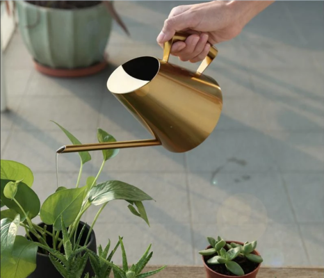 Spring is coming, these 4 watering cans may help moisturize your plants