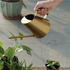 Spring is coming, these 4 watering cans may help moisturize your plants
