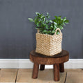 Wooden Plant Stand Flower Pot Base Holder Stool Long Bench High Stool Balcony Succulent Orchid Flower Shelf For Indoor Outdoor
